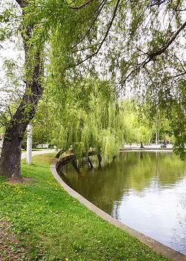 Spring upon the lake