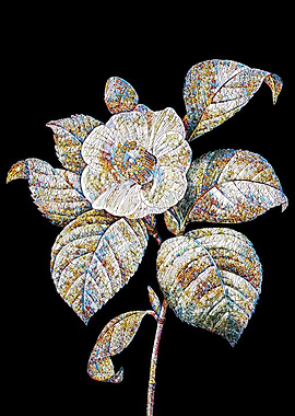 Japanese Camellia Mosaic
