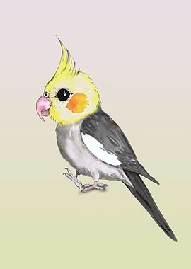 Very cute cockatiel