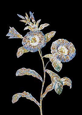 Field Bindweed Mosaic