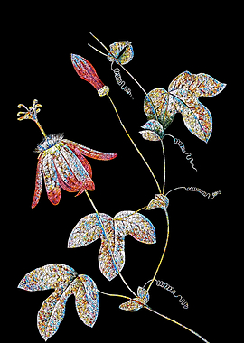 Red Passion Flower Mosaic