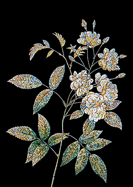 Lady Banks Rose Mosaic