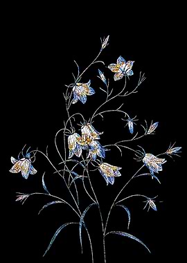 Campanule Clochette Mosaic