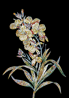 Chieranthus Flower Mosaic