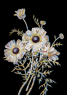 Crysanthemum Mosaic