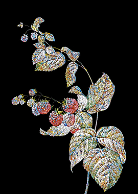 Berries Mosaic