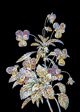 Johnny Jump Up Mosaic