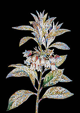 New Year Flower Mosaic