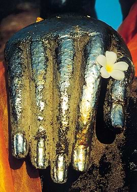 Hand of the Buddha