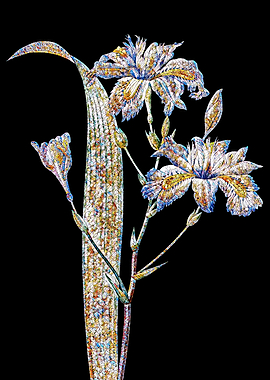 Butterfly Flower Mosaic