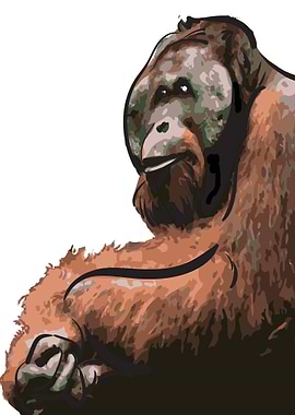 OrangUtan
