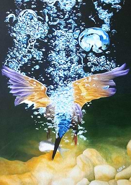 Headlong - Bird Fishing