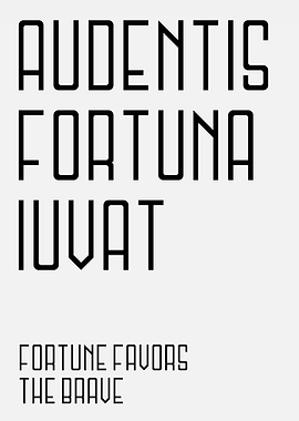 Fortune Favors The Brave