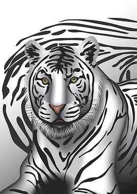 Black and White Tiger