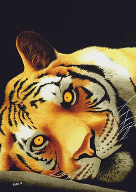 King Of The Kill - Tiger