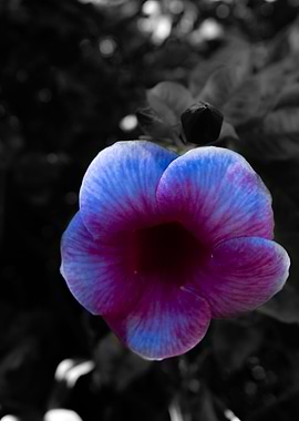 the good in everything 2