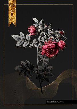 Blooming Turnip Roses