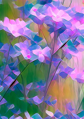 roses as background decora