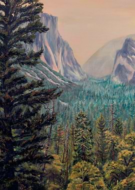 Forest Fire at Yosemite