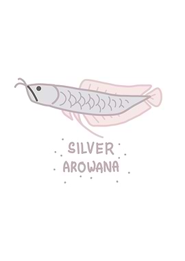 Silver Arowana