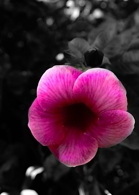 the good in everything 1