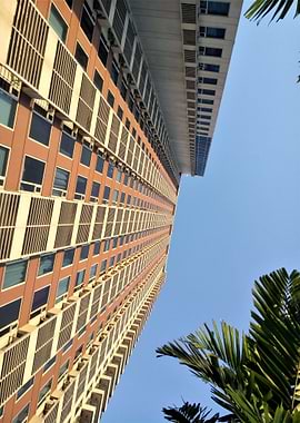 From Bottom to the Top