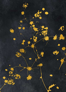 Gold flora
