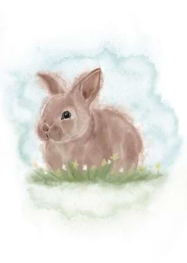 Little Bunny Rabbit
