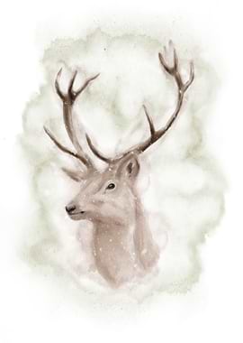 Forest Deer