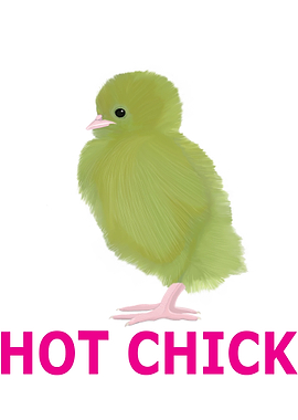 Hot Chick