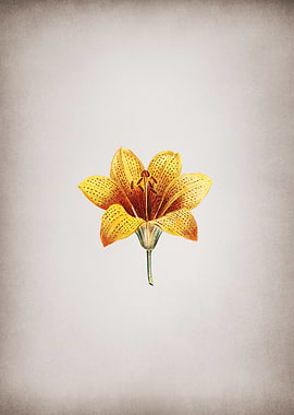 Vintage Small Flower