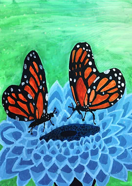 Monarch Butterflies