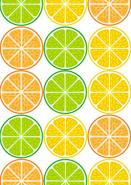 Citrus fruit slices