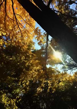 Fall Swirly Sunlight