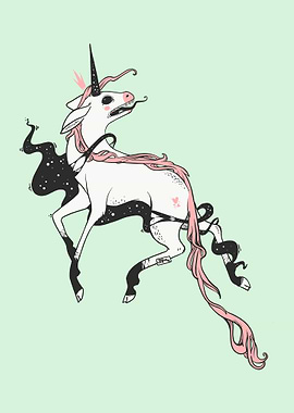 Weird Unicorn With Space