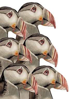 Retro Puffins