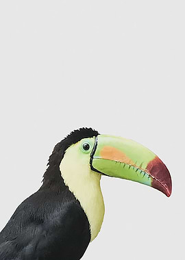 Toucan Too