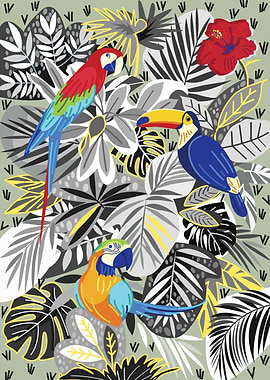 Tropical Birds