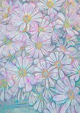 pink daisy in bloom in sp