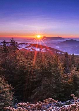 Beautifull view to the sun