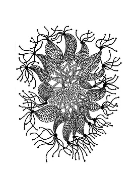 Chicken Fish Abstract