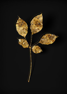 Gold Flora on Black