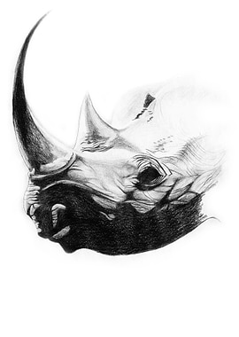 Rhino