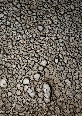 Textures and Patterns