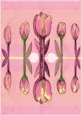 Pink Tulips