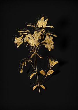 Gold Flora on Black
