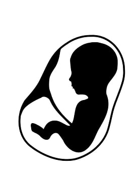 Fetus inside the womb