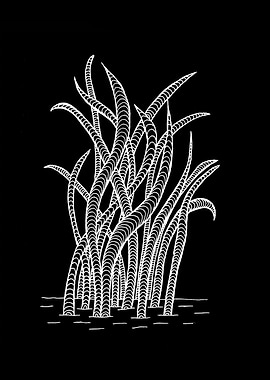 Windy Day Water Plant