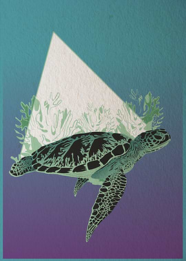 Tortuga