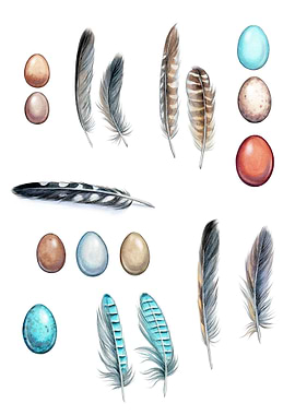 Watercolor feather